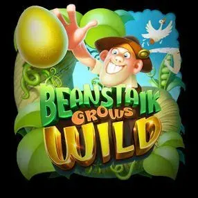 Beanstalk Grows Wild