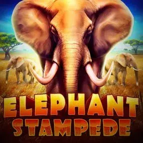 Elephant Stampede